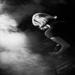 electrelane | strasbourg | laiterie | 2007-11-19