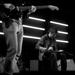 casiotone for the painfully alone | luxembourg | exit07 | 2009-05-15