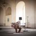 the wooden wolf | nancy | porte héré | 2013-04-08